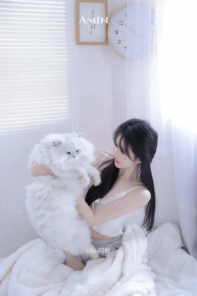 会议室投屏场景