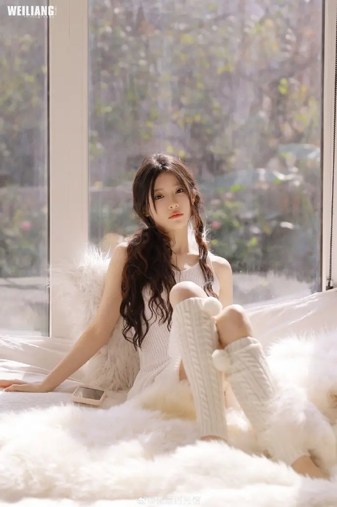 高达系列机体集结